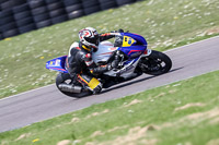 anglesey-no-limits-trackday;anglesey-photographs;anglesey-trackday-photographs;enduro-digital-images;event-digital-images;eventdigitalimages;no-limits-trackdays;peter-wileman-photography;racing-digital-images;trac-mon;trackday-digital-images;trackday-photos;ty-croes